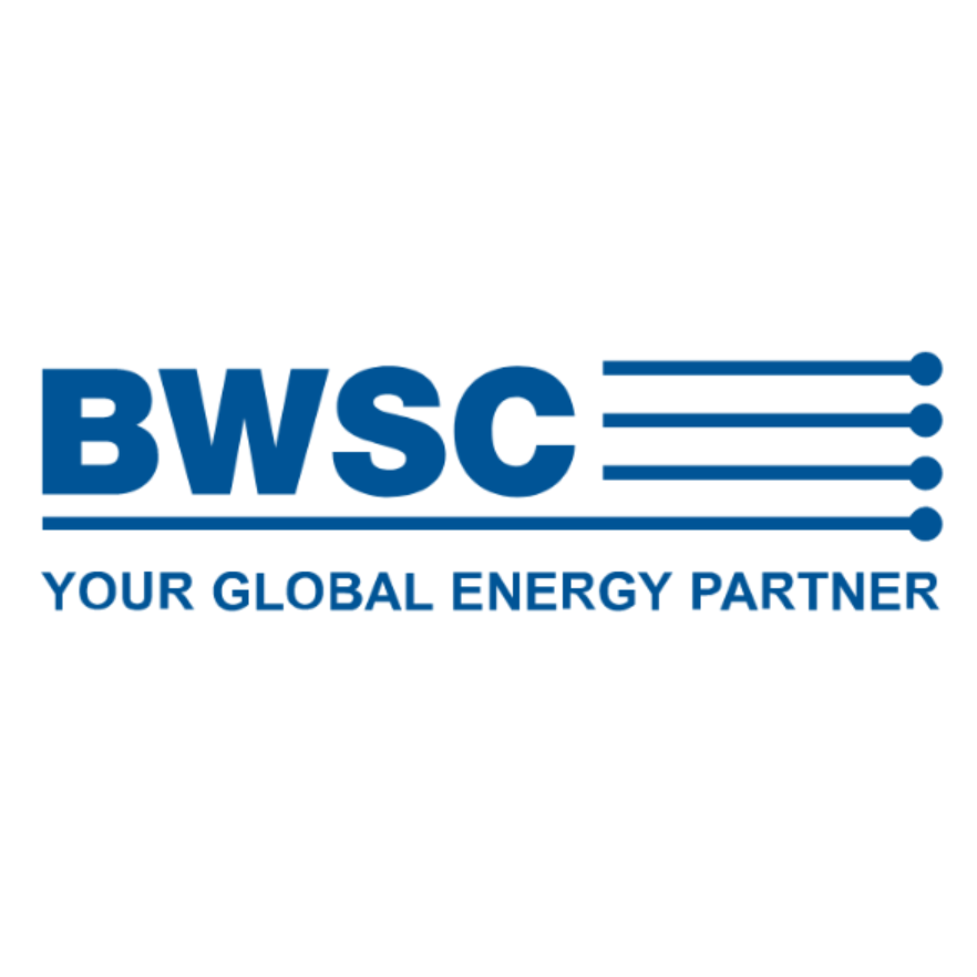 1980 BWSC is created
