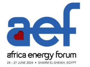 Africa Energy Forum 2024